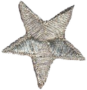 Silver embroidered star patch.