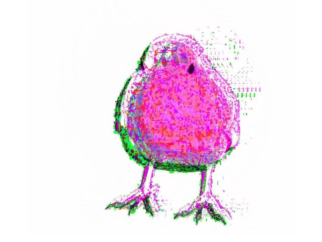 a small pink bird with a pixelated glitch effect applied, creating green and dark magenta fragments, stands on a white background