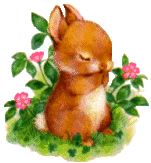 A soft brown bunny sitting on a patch of grass with its eyes closed, surrounded by pink flowers. Its ears move back and forth as it crinkles its nose.